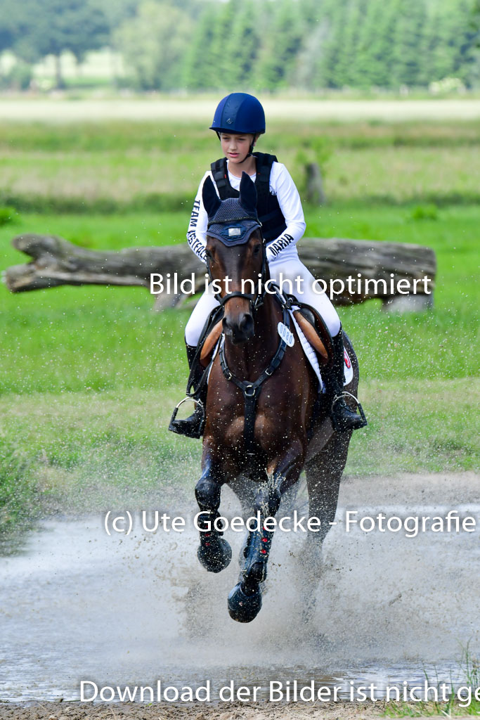 Goldene Schärpe Pferde  in Löningen  11+12.6.22 | 11062022 - Gelände 1 Abt_0975 