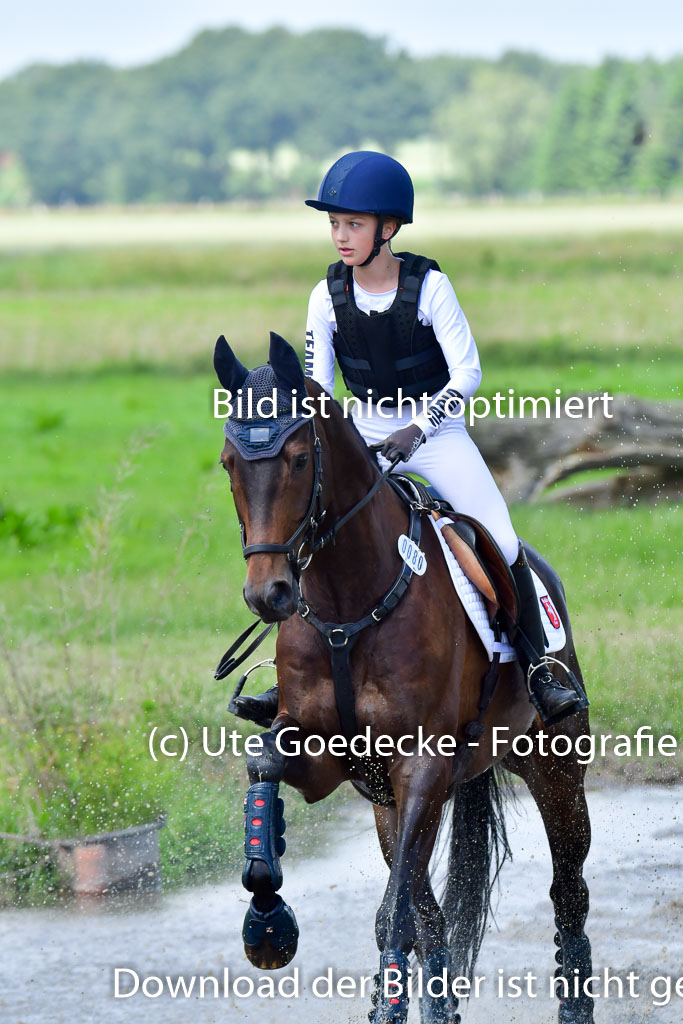 Goldene Schärpe Pferde  in Löningen  11+12.6.22 | 11062022 - Gelände 1 Abt_0977 