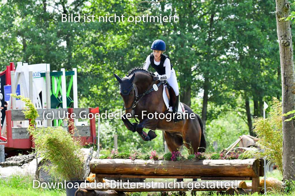Goldene Schärpe Pferde  in Löningen  11+12.6.22 | 11062022 - Gelände 1 Abt_0979