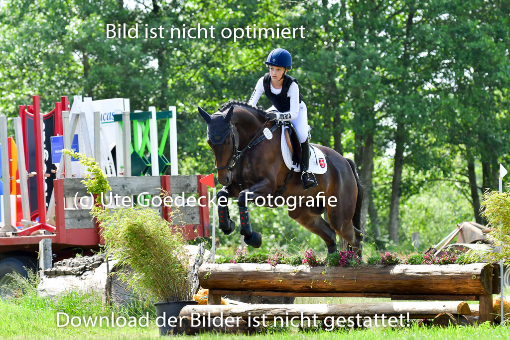 Goldene Schärpe Pferde  in Löningen  11+12.6.22 | 11062022 - Gelände 1 Abt_0980 