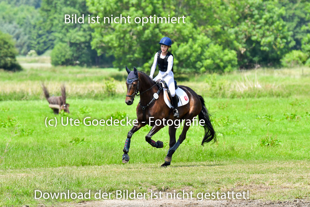 Goldene Schärpe Pferde  in Löningen  11+12.6.22 | 11062022 - Gelände 1 Abt_0982 