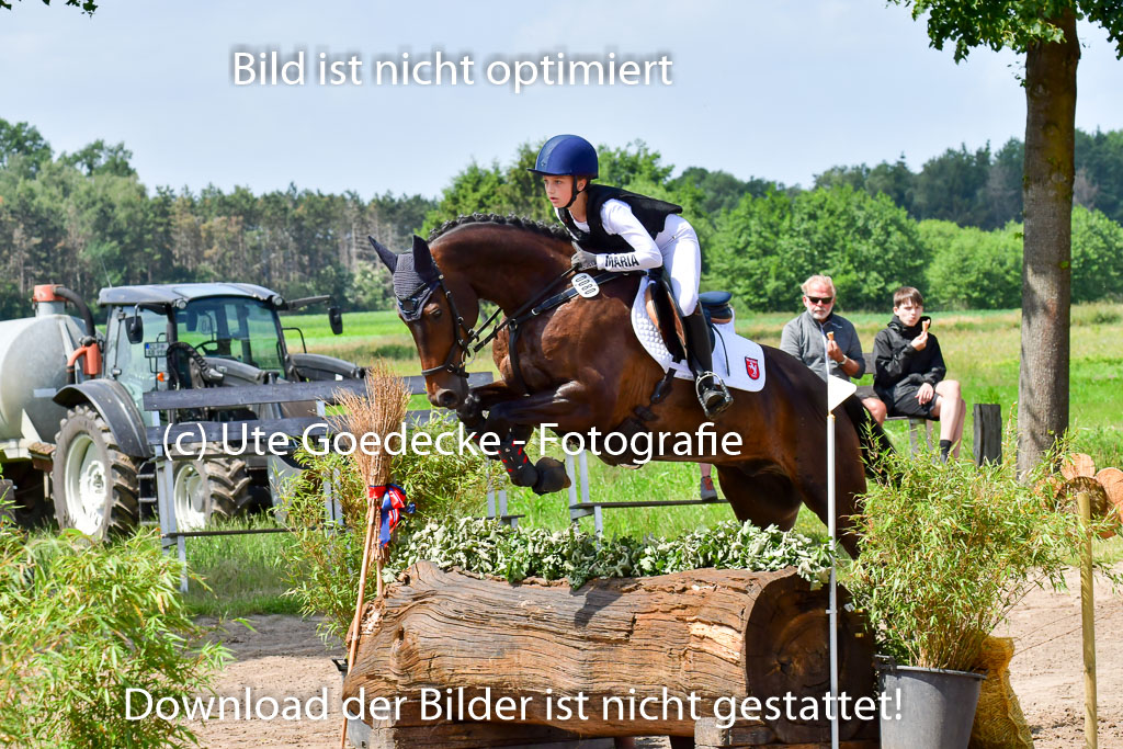 Goldene Schärpe Pferde  in Löningen  11+12.6.22 | 11062022 - Gelände 1 Abt_0985 