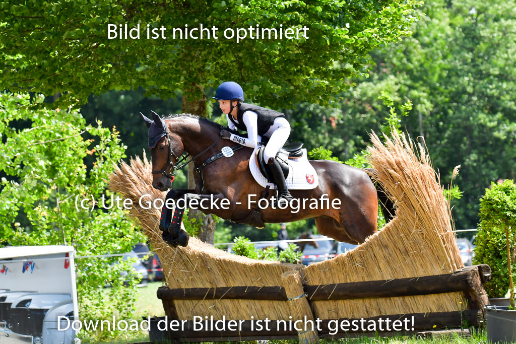 Goldene Schärpe Pferde  in Löningen  11+12.6.22 | 11062022 - Gelände 1 Abt_0988 