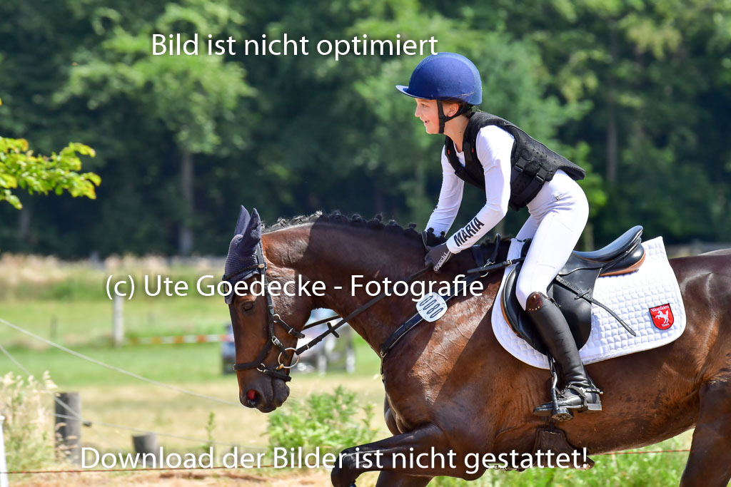 Goldene Schärpe Pferde  in Löningen  11+12.6.22 | 11062022 - Gelände 1 Abt_0989 