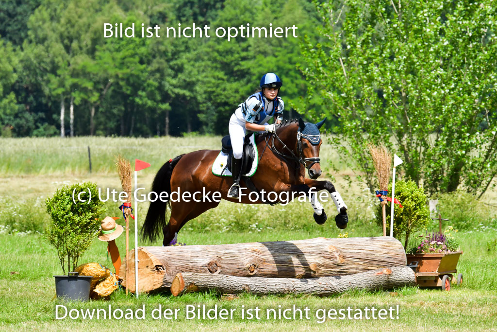 Goldene Schärpe Pferde  in Löningen  11+12.6.22 | 11062022 - Gelände 1 Abt_0991 