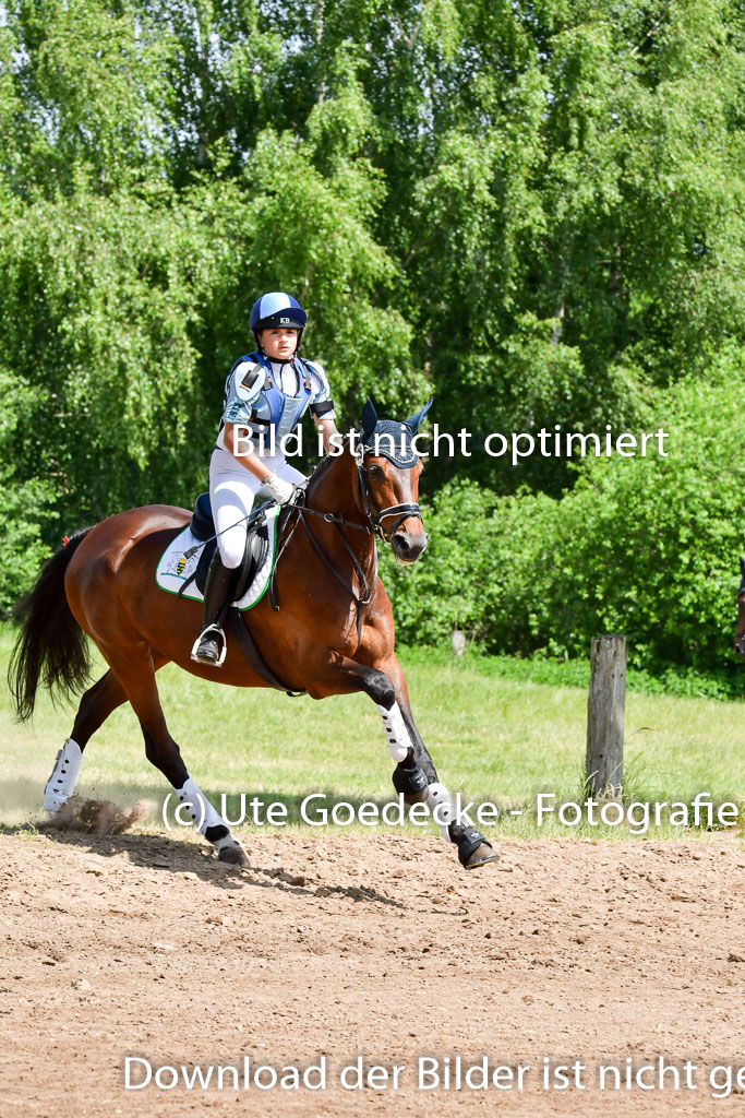 Goldene Schärpe Pferde  in Löningen  11+12.6.22 | 11062022 - Gelände 1 Abt_0993 