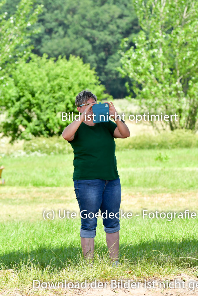 Goldene Schärpe Pferde  in Löningen  11+12.6.22 | 11062022 - Gelände 1 Abt_0997 