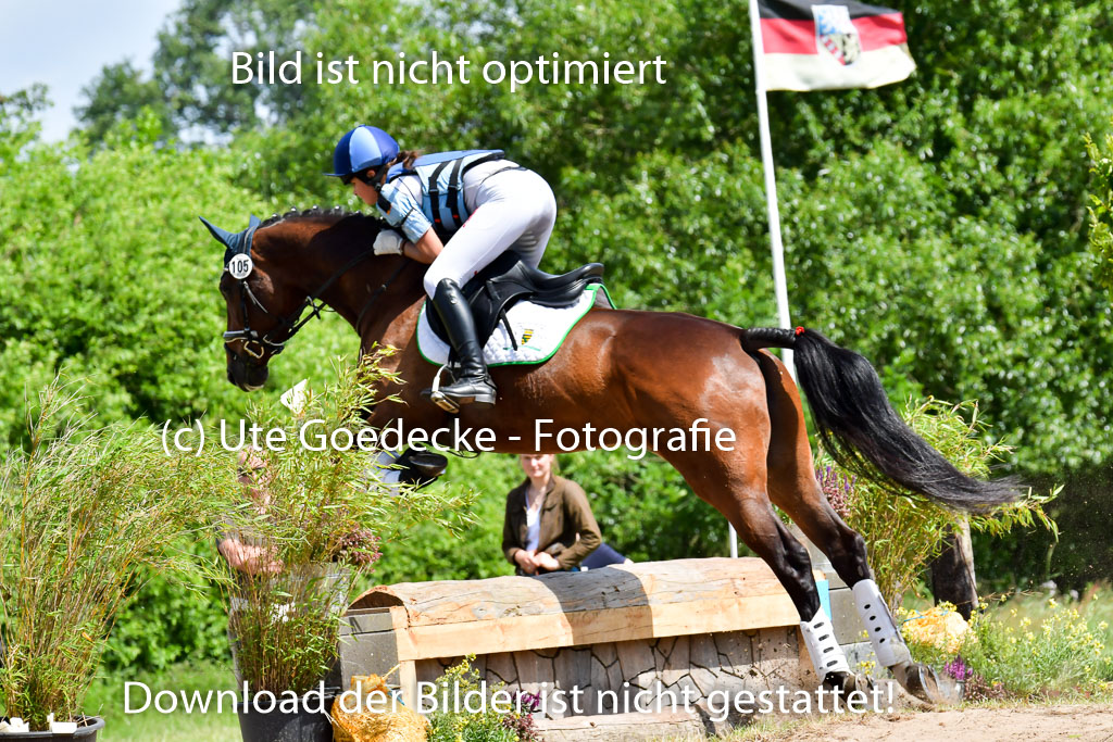 Goldene Schärpe Pferde  in Löningen  11+12.6.22 | 11062022 - Gelände 1 Abt_0998 