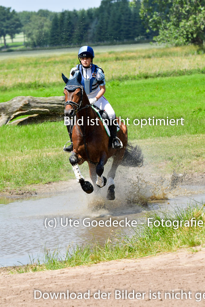 Goldene Schärpe Pferde  in Löningen  11+12.6.22 | 11062022 - Gelände 1 Abt_1000 