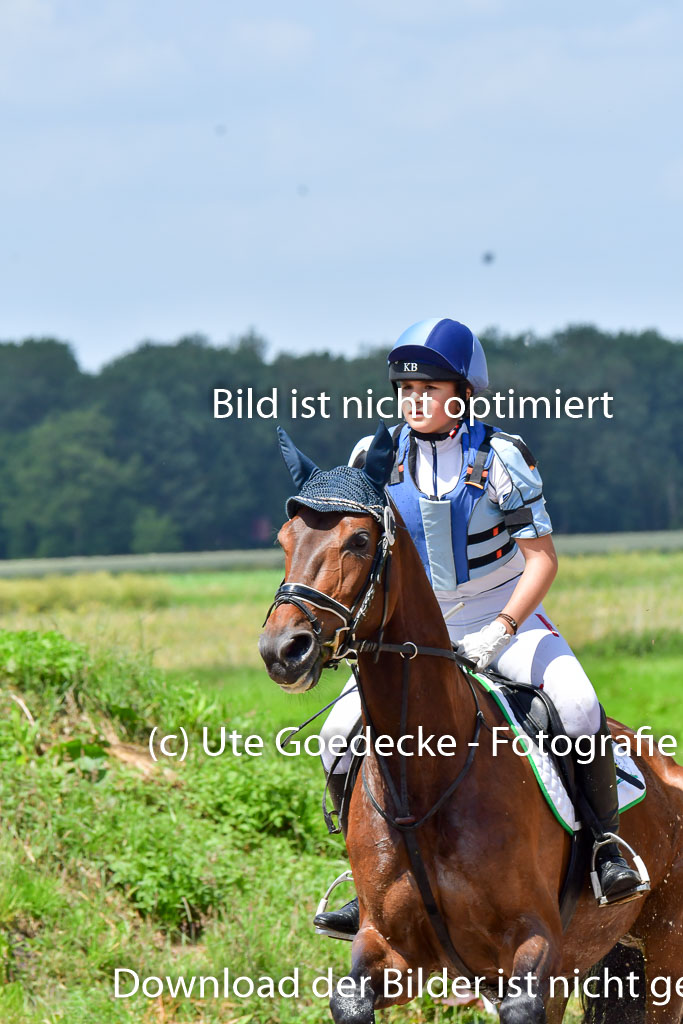 Goldene Schärpe Pferde  in Löningen  11+12.6.22 | 11062022 - Gelände 1 Abt_1006 