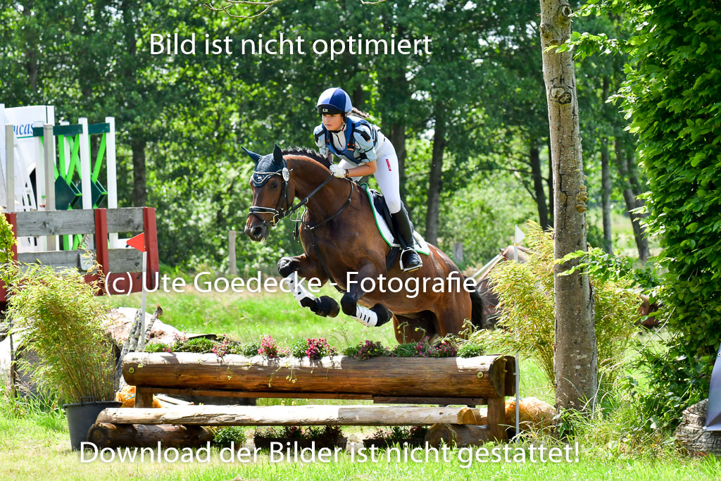 Goldene Schärpe Pferde  in Löningen  11+12.6.22 | 11062022 - Gelände 1 Abt_1010 