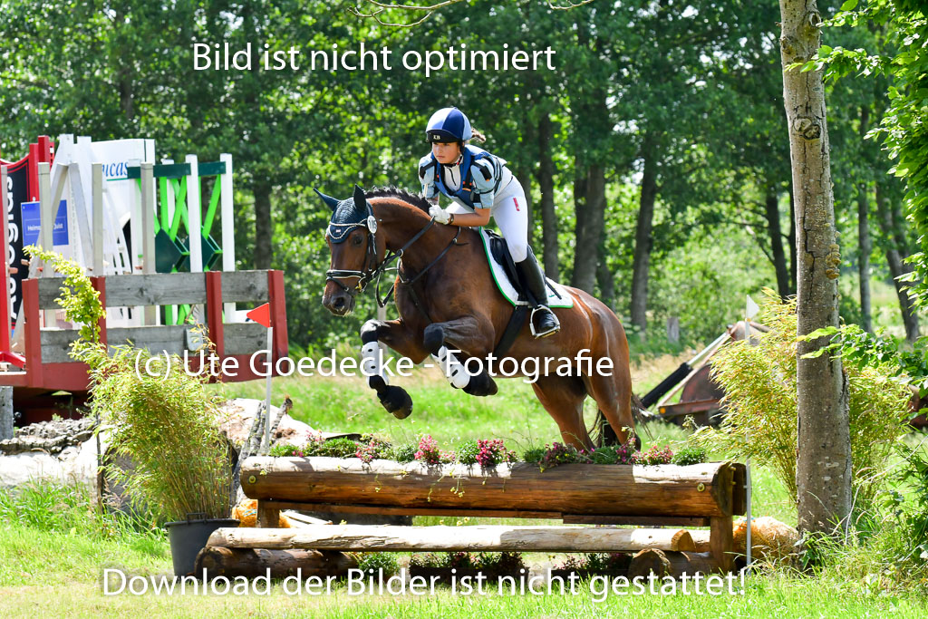 Goldene Schärpe Pferde  in Löningen  11+12.6.22 | 11062022 - Gelände 1 Abt_1011 