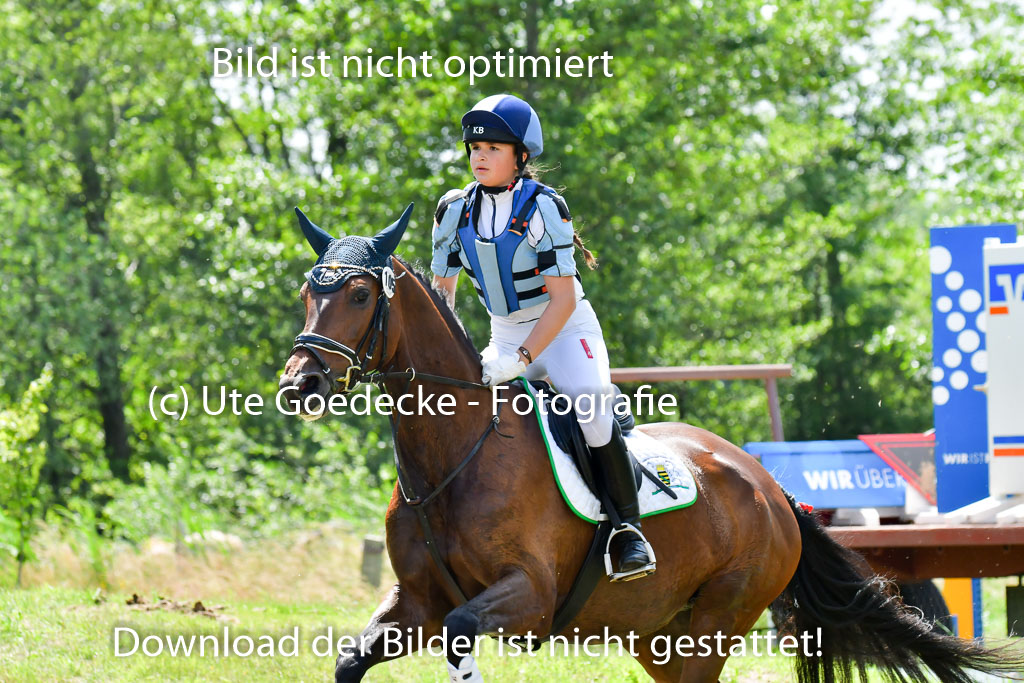 Goldene Schärpe Pferde  in Löningen  11+12.6.22 | 11062022 - Gelände 1 Abt_1012 