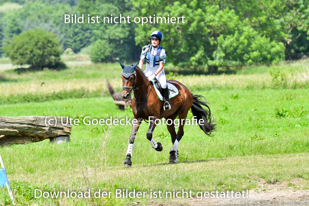 Goldene Schärpe Pferde  in Löningen  11+12.6.22 | 11062022 - Gelände 1 Abt_1014 
