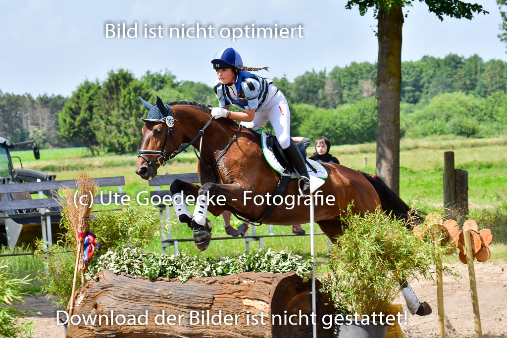 Goldene Schärpe Pferde  in Löningen  11+12.6.22 | 11062022 - Gelände 1 Abt_1016 