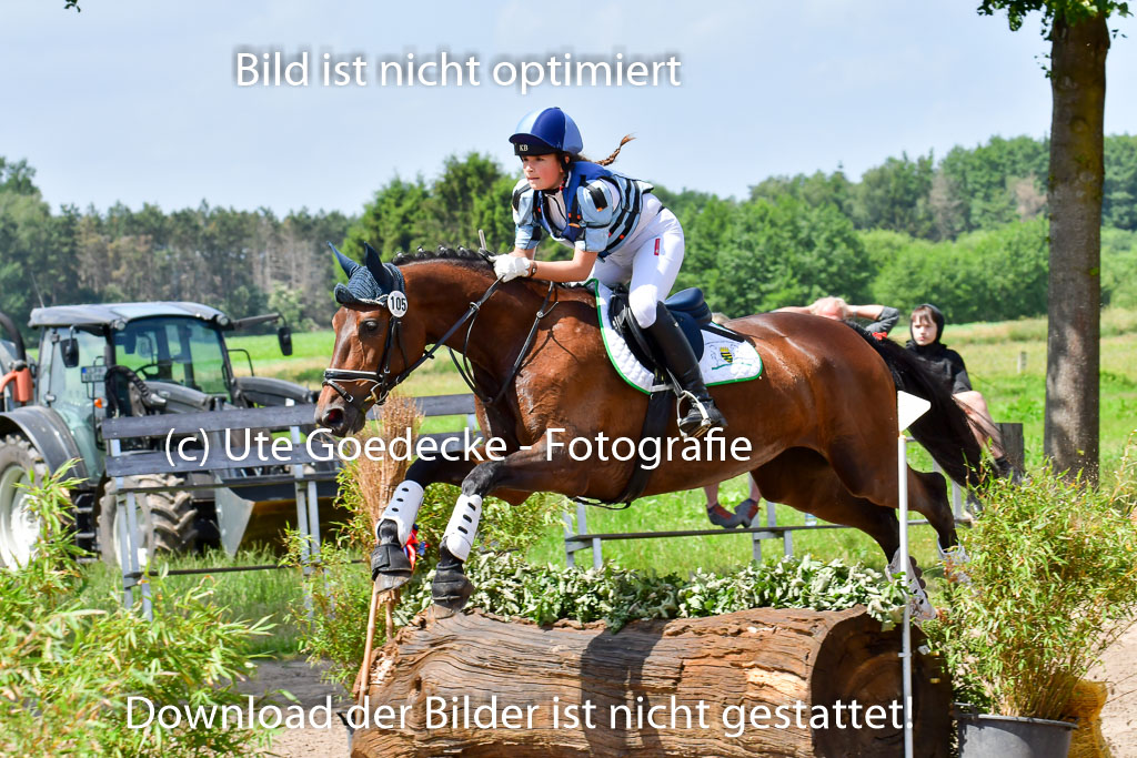 Goldene Schärpe Pferde  in Löningen  11+12.6.22 | 11062022 - Gelände 1 Abt_1017 