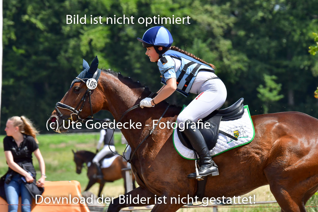 Goldene Schärpe Pferde  in Löningen  11+12.6.22 | 11062022 - Gelände 1 Abt_1024 