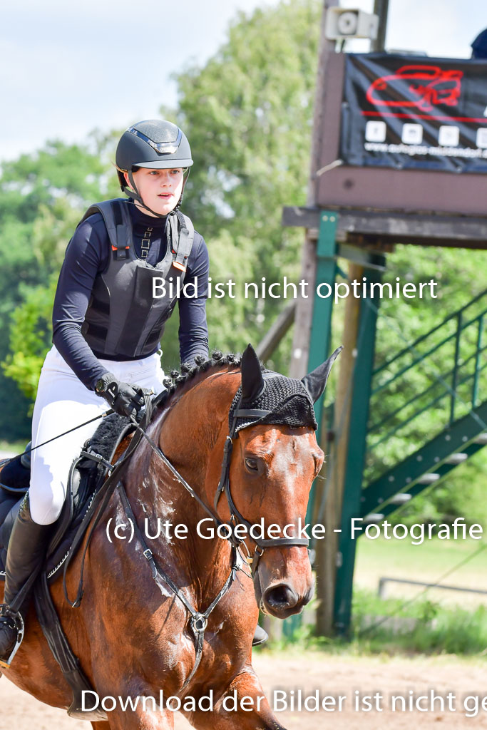 Goldene Schärpe Pferde  in Löningen  11+12.6.22 | 11062022 - Gelände 1 Abt_1026 