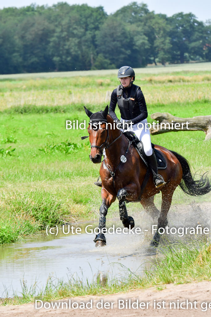 Goldene Schärpe Pferde  in Löningen  11+12.6.22 | 11062022 - Gelände 1 Abt_1029 