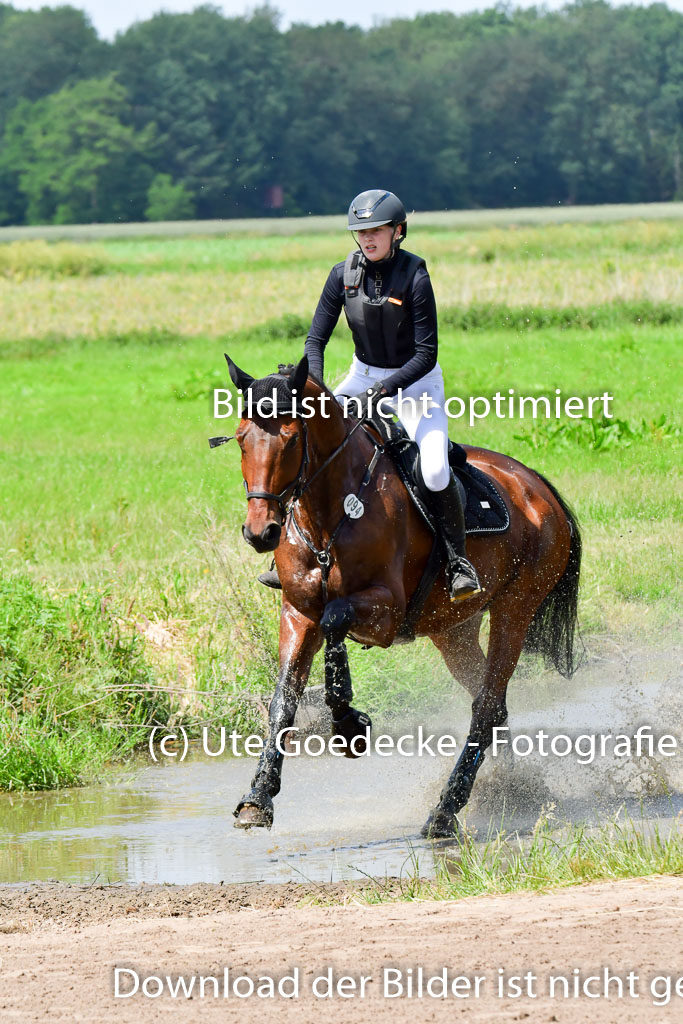 Goldene Schärpe Pferde  in Löningen  11+12.6.22 | 11062022 - Gelände 1 Abt_1031 