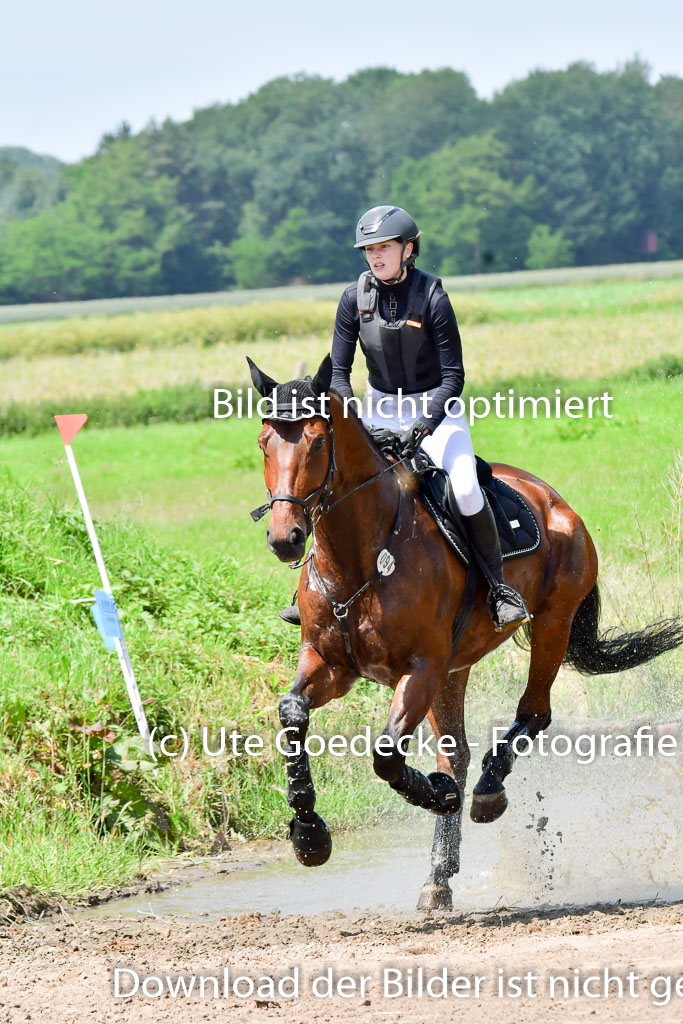 Goldene Schärpe Pferde  in Löningen  11+12.6.22 | 11062022 - Gelände 1 Abt_1032 