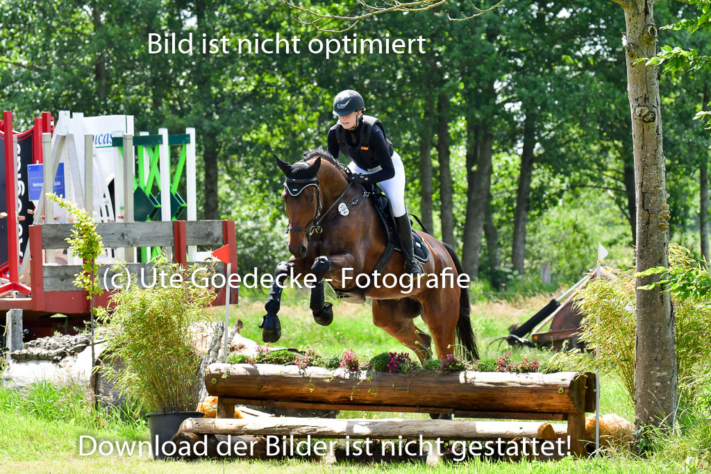 Goldene Schärpe Pferde  in Löningen  11+12.6.22 | 11062022 - Gelände 1 Abt_1035 