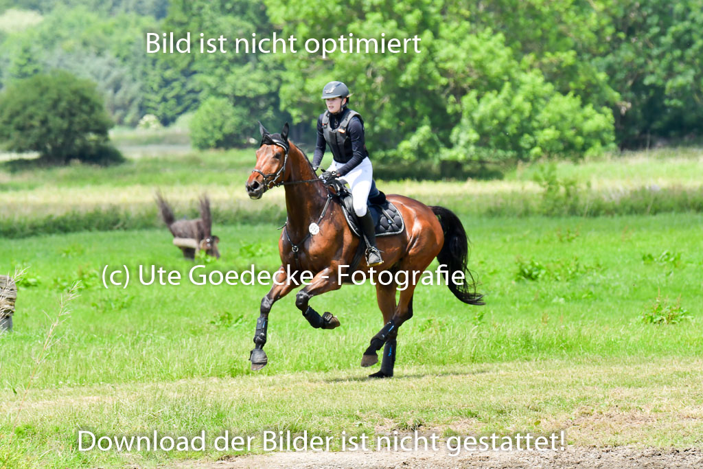 Goldene Schärpe Pferde  in Löningen  11+12.6.22 | 11062022 - Gelände 1 Abt_1037 
