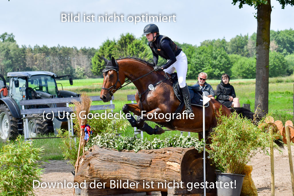 Goldene Schärpe Pferde  in Löningen  11+12.6.22 | 11062022 - Gelände 1 Abt_1040 