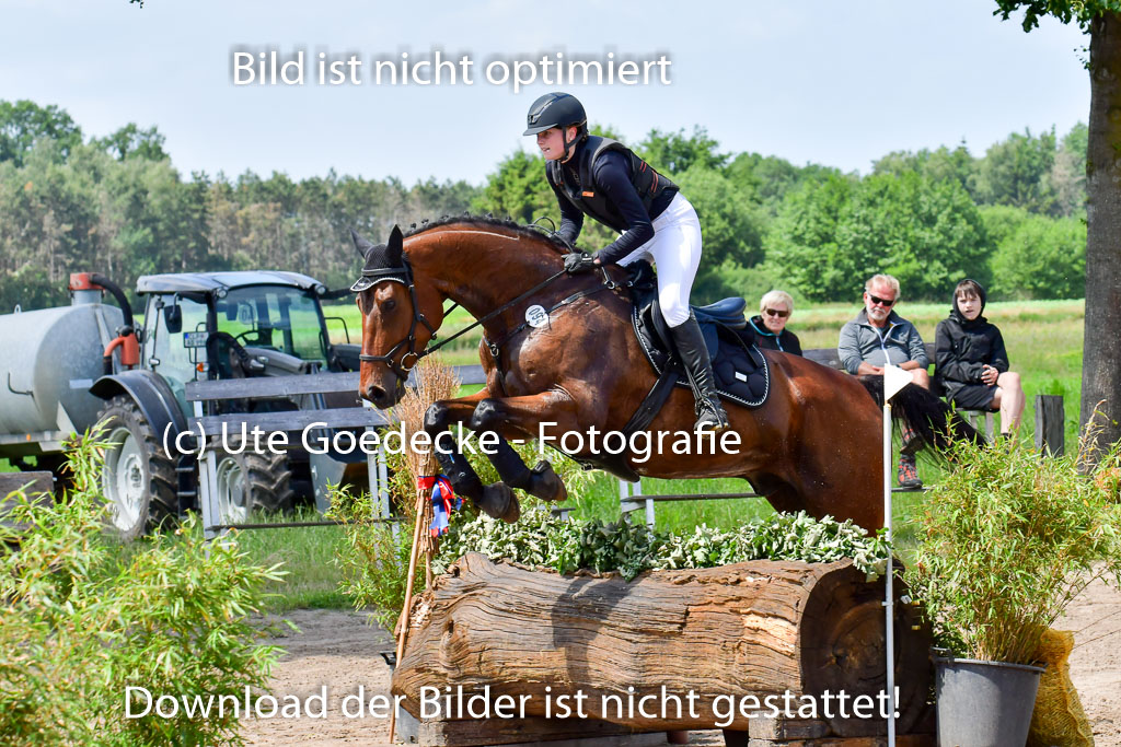 Goldene Schärpe Pferde  in Löningen  11+12.6.22 | 11062022 - Gelände 1 Abt_1041 