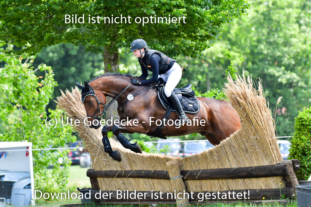 Goldene Schärpe Pferde  in Löningen  11+12.6.22 | 11062022 - Gelände 1 Abt_1043 