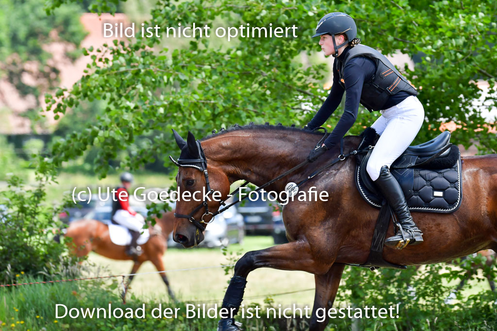 Goldene Schärpe Pferde  in Löningen  11+12.6.22 | 11062022 - Gelände 1 Abt_1044 