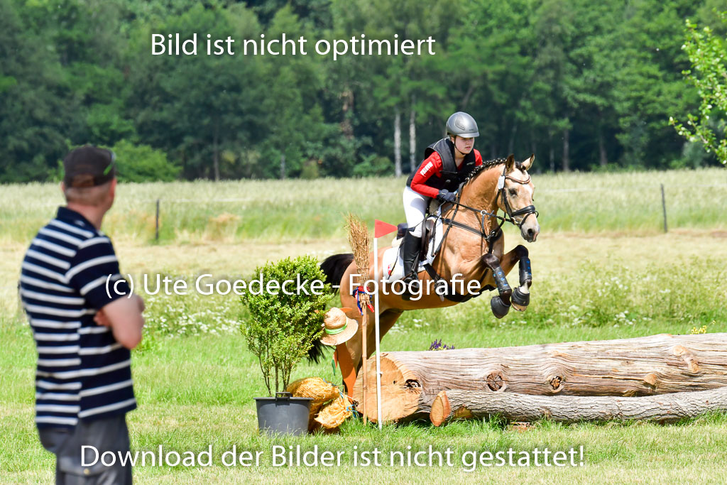 Goldene Schärpe Pferde in Löningen 11+12.6.22 | 11062022 - Gelände 1 Abt_1045