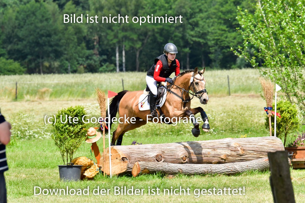 Goldene Schärpe Pferde in Löningen 11+12.6.22 | 11062022 - Gelände 1 Abt_1046