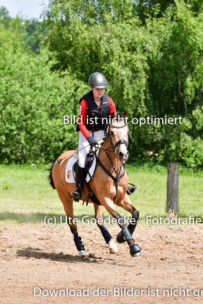 Goldene Schärpe Pferde  in Löningen  11+12.6.22 | 11062022 - Gelände 1 Abt_1047