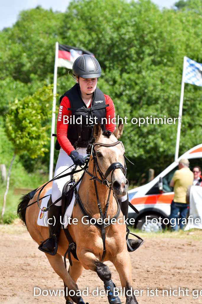 Goldene Schärpe Pferde in Löningen 11+12.6.22 | 11062022 - Gelände 1 Abt_1049