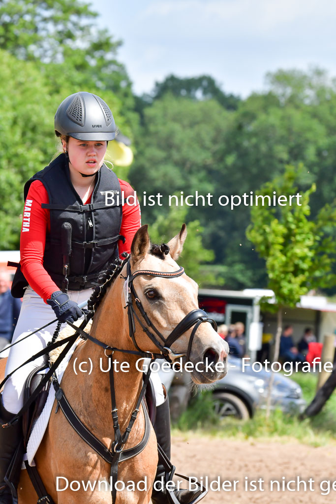 Goldene Schärpe Pferde in Löningen 11+12.6.22 | 11062022 - Gelände 1 Abt_1050