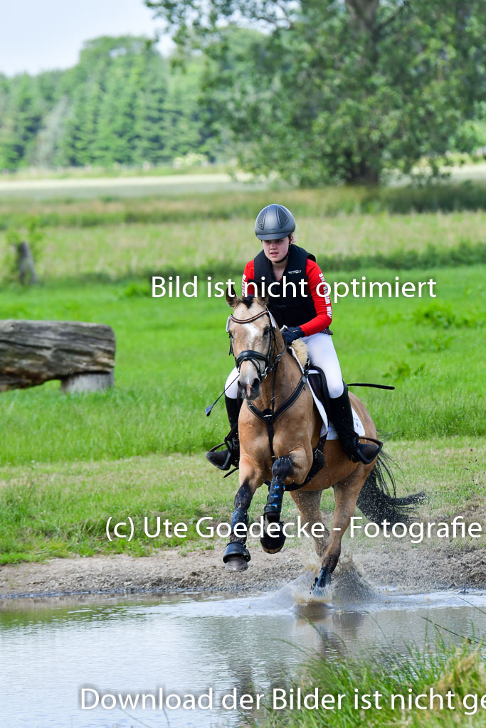 Goldene Schärpe Pferde in Löningen 11+12.6.22 | 11062022 - Gelände 1 Abt_1053