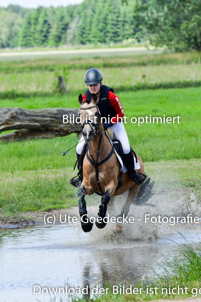 Goldene Schärpe Pferde in Löningen 11+12.6.22 | 11062022 - Gelände 1 Abt_1054