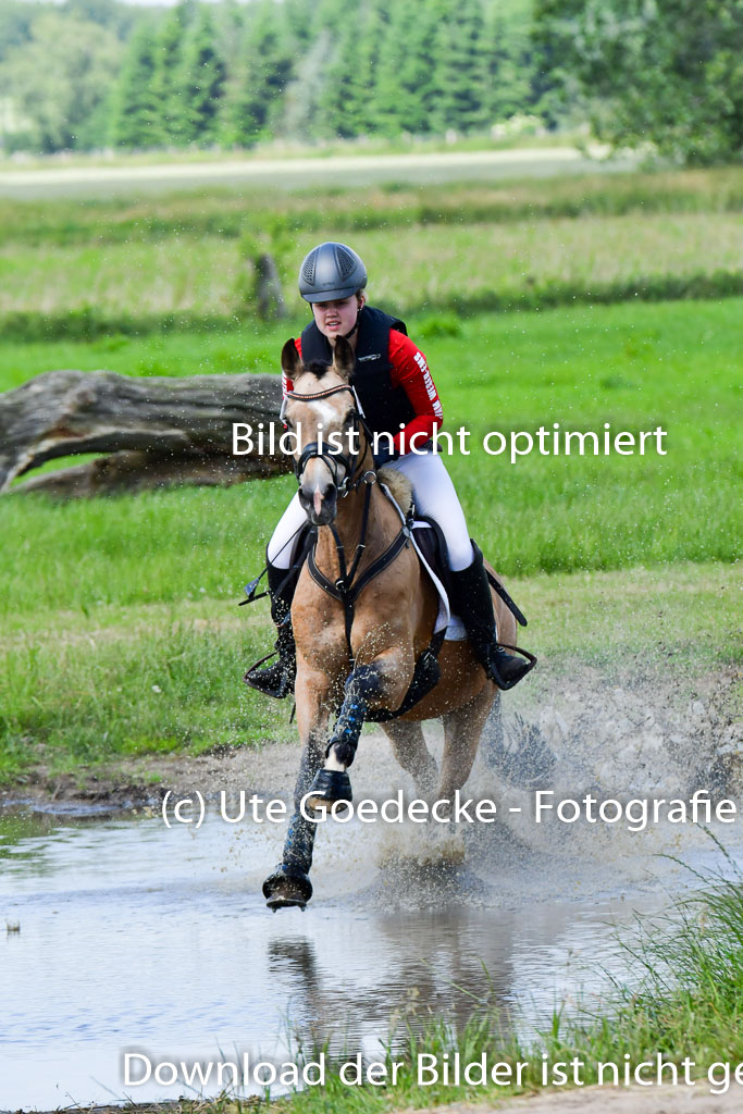 Goldene Schärpe Pferde  in Löningen  11+12.6.22 | 11062022 - Gelände 1 Abt_1055