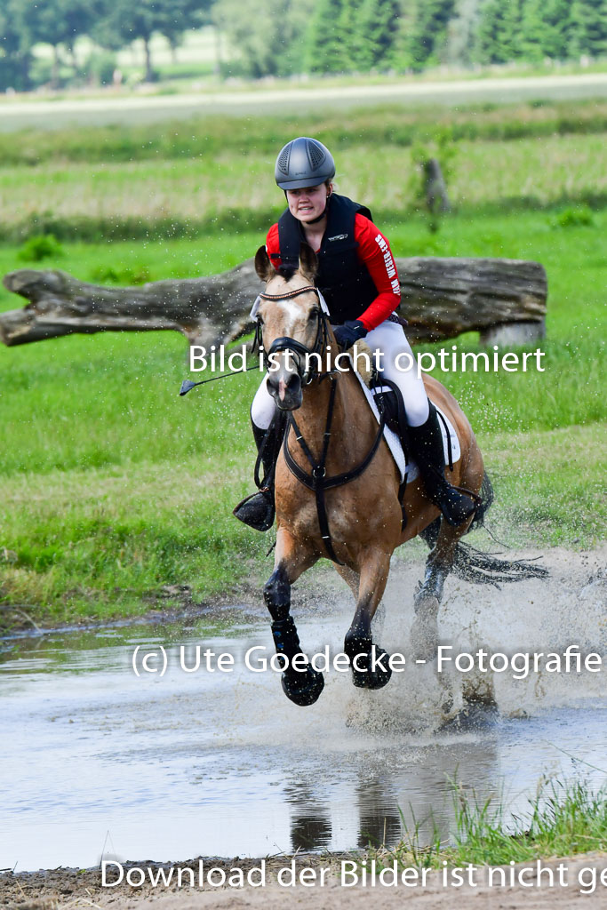Goldene Schärpe Pferde in Löningen 11+12.6.22 | 11062022 - Gelände 1 Abt_1057