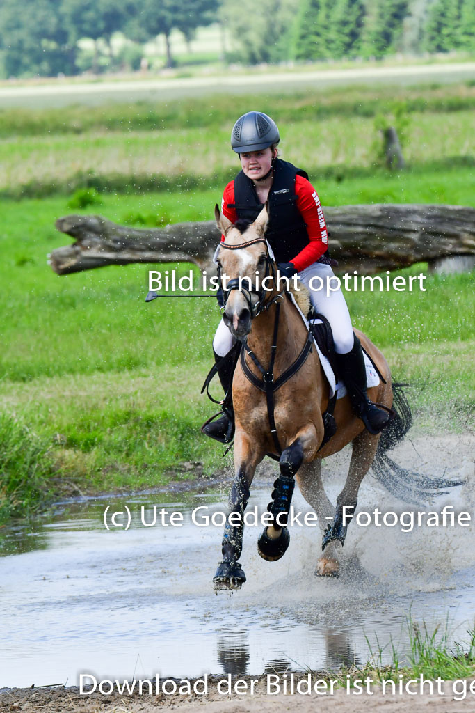 Goldene Schärpe Pferde in Löningen 11+12.6.22 | 11062022 - Gelände 1 Abt_1058