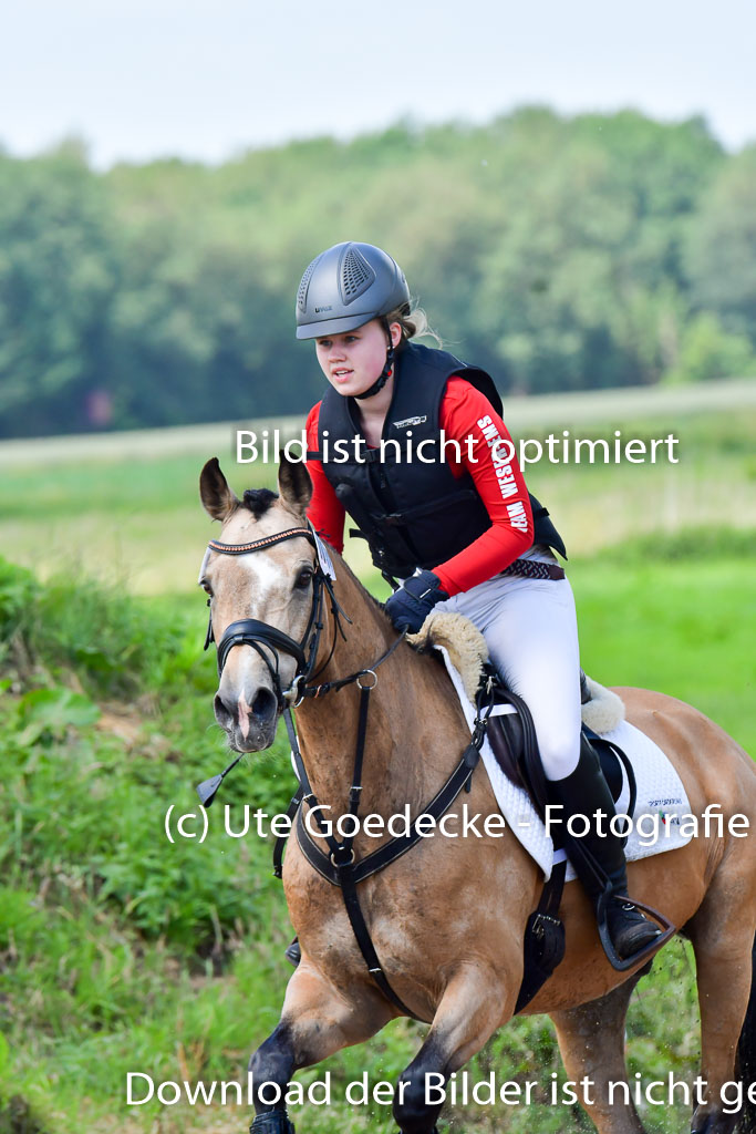 Goldene Schärpe Pferde in Löningen 11+12.6.22 | 11062022 - Gelände 1 Abt_1059