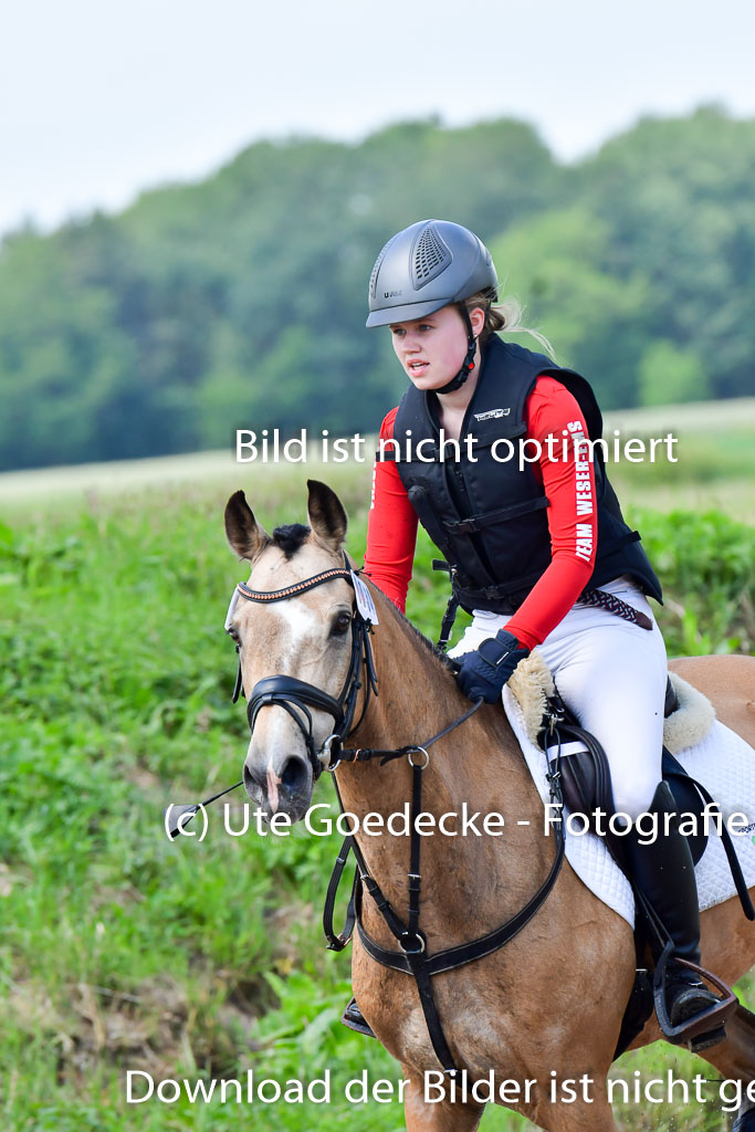 Goldene Schärpe Pferde in Löningen 11+12.6.22 | 11062022 - Gelände 1 Abt_1060