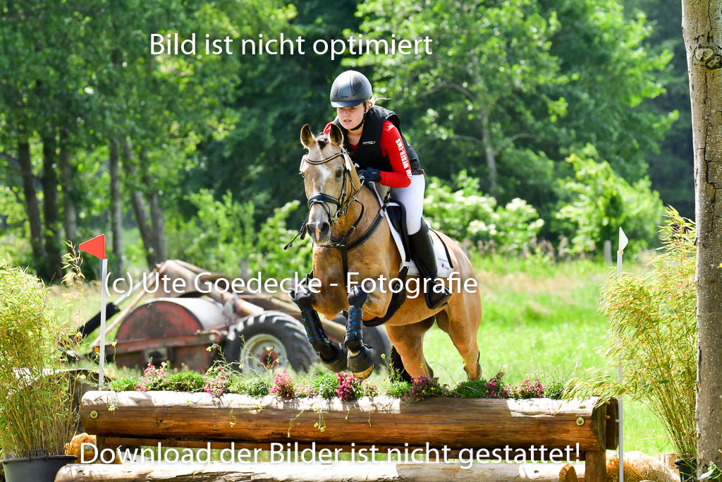Goldene Schärpe Pferde in Löningen 11+12.6.22 | 11062022 - Gelände 1 Abt_1062