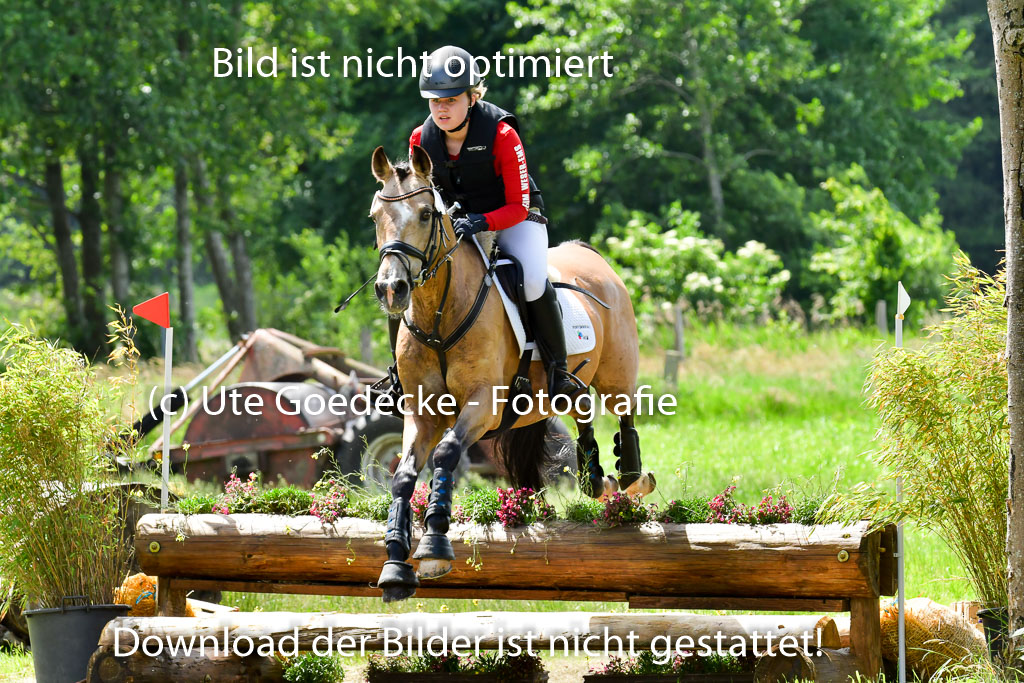 Goldene Schärpe Pferde in Löningen 11+12.6.22 | 11062022 - Gelände 1 Abt_1063