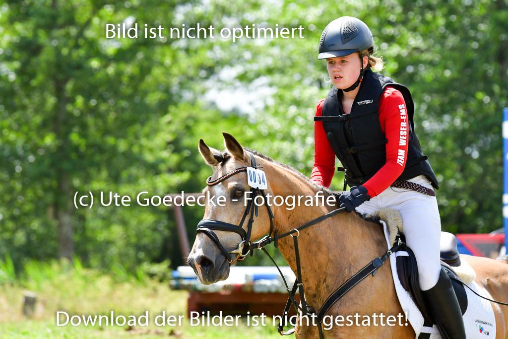 Goldene Schärpe Pferde in Löningen 11+12.6.22 | 11062022 - Gelände 1 Abt_1064