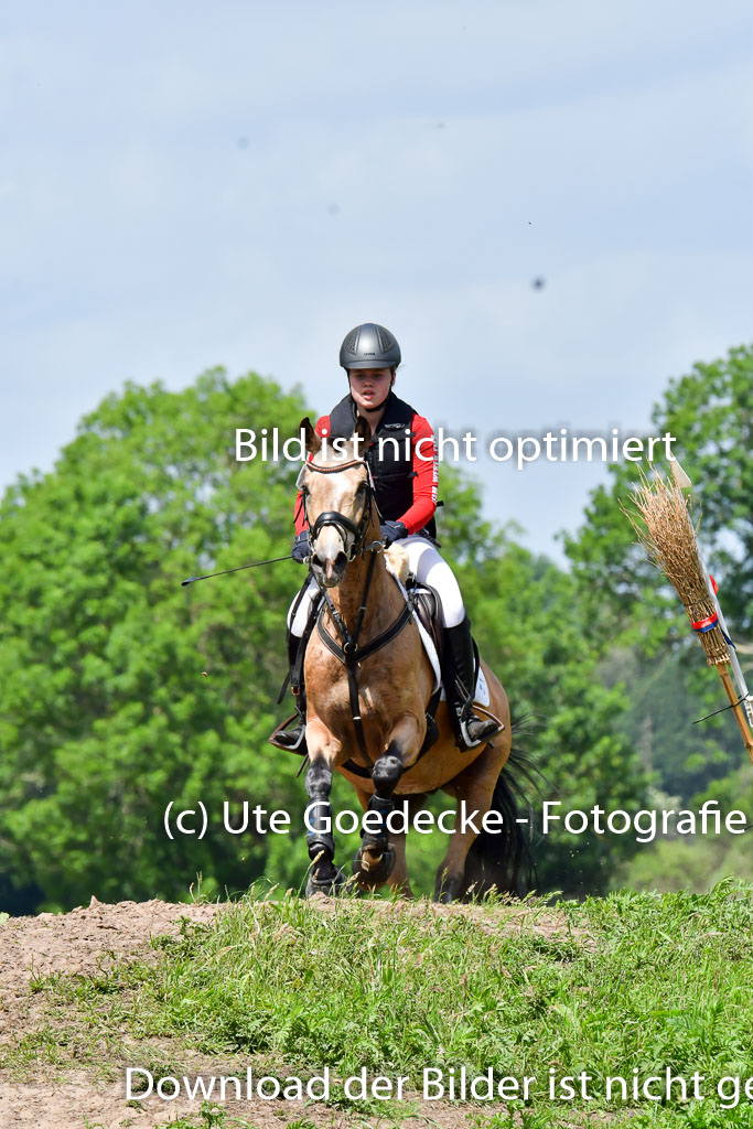 Goldene Schärpe Pferde in Löningen 11+12.6.22 | 11062022 - Gelände 1 Abt_1067