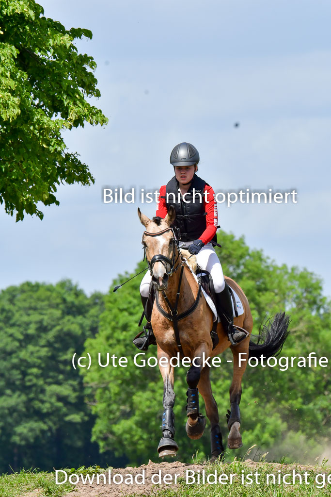 Goldene Schärpe Pferde in Löningen 11+12.6.22 | 11062022 - Gelände 1 Abt_1068