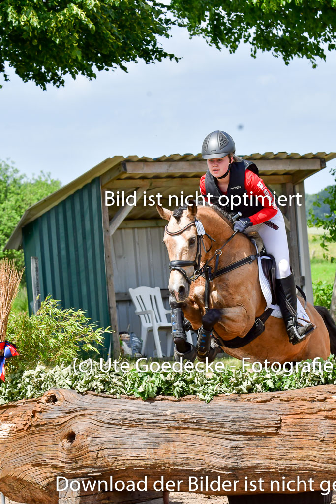 Goldene Schärpe Pferde in Löningen 11+12.6.22 | 11062022 - Gelände 1 Abt_1069