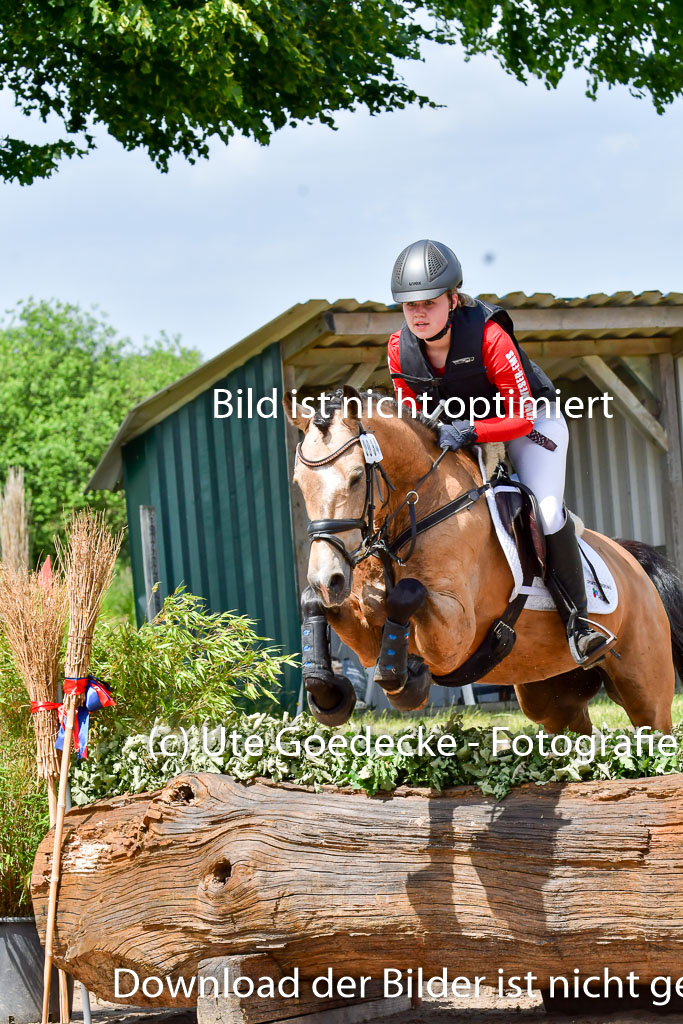 Goldene Schärpe Pferde in Löningen 11+12.6.22 | 11062022 - Gelände 1 Abt_1070
